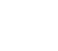 Dairy Free